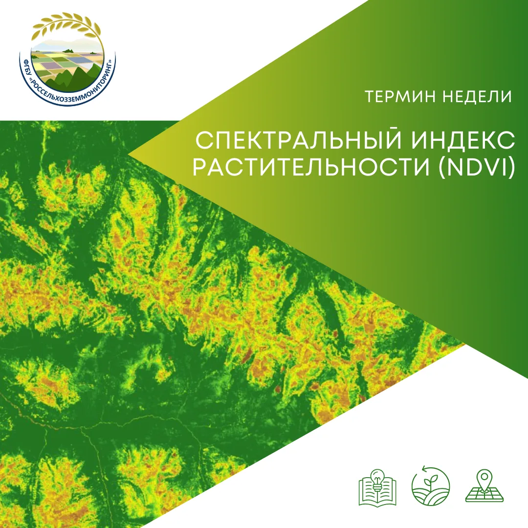 Современное управление земельными ресурсами невозможно без объективных данных о состоян...