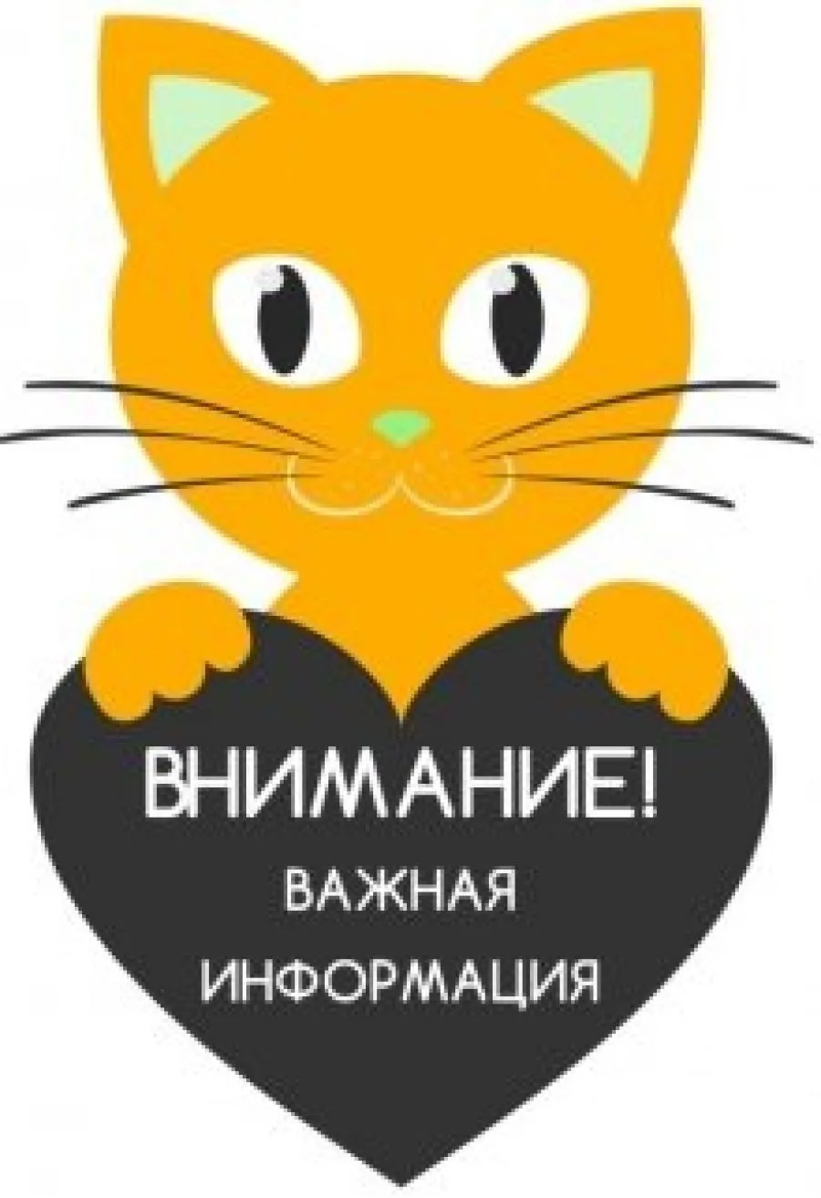 Друзья, обратите внимание, что сегодня последний сеанс в кинотеатре в 12:50. С 15:00 ки...