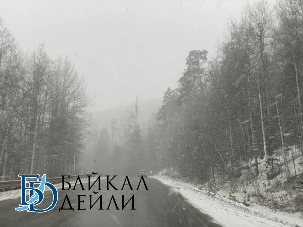 Жителей Бурятии призвали не парковать автомобили вблизи деревьев  В связи с прогнозируемыми неблагоп