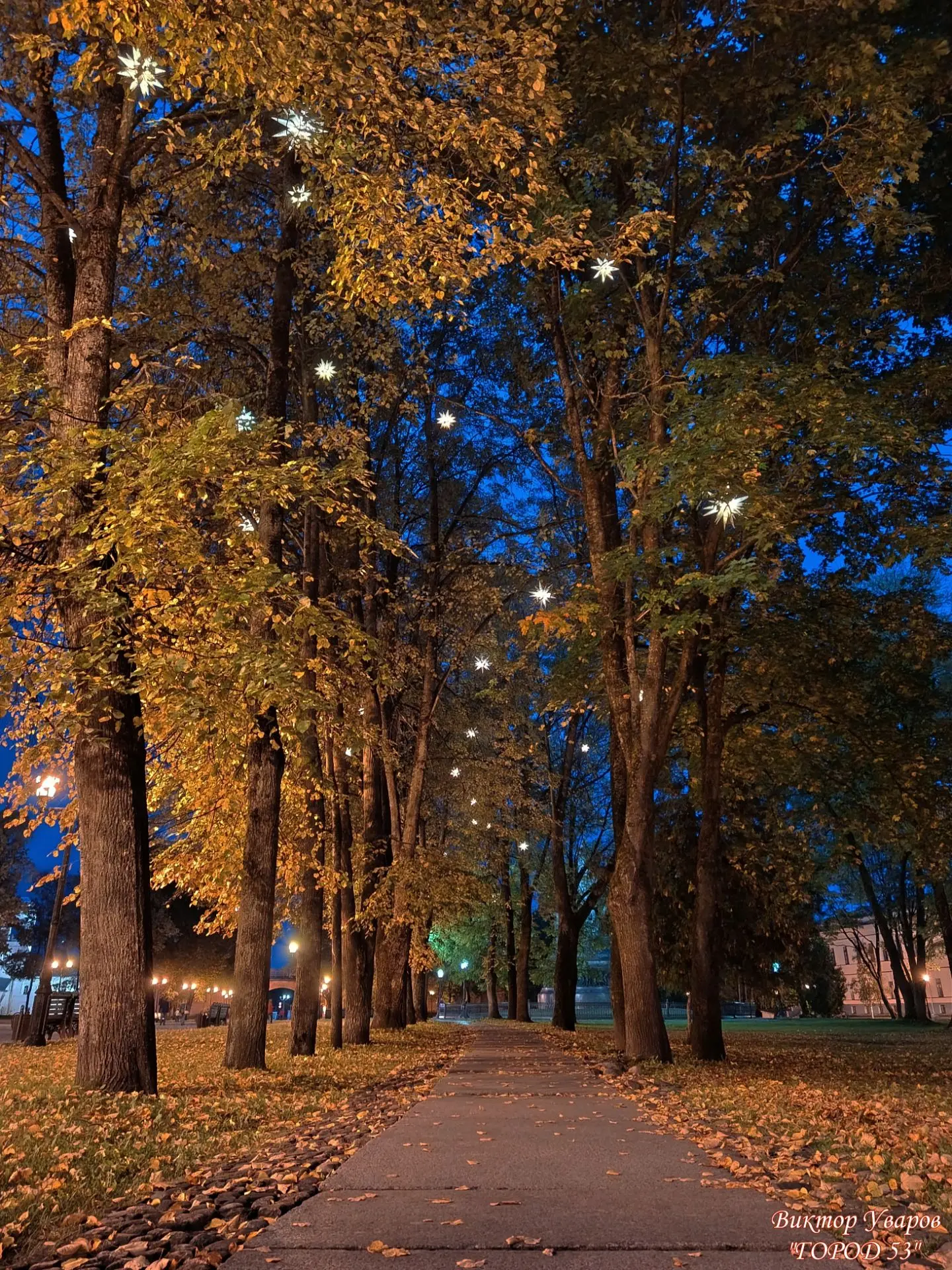 Вечерние звёзды осеннего Новгородского кремля 😍
