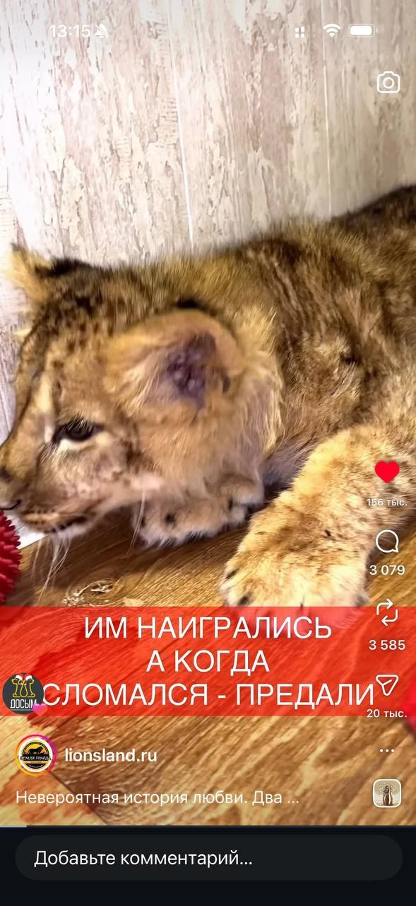 Расскажу что произошло у меня.