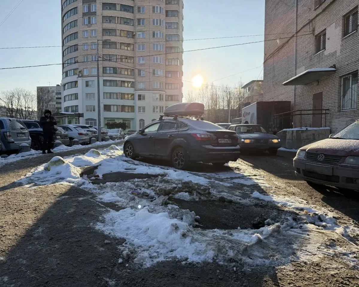 ⚔ Незаконная торговля пресечена в Приморском и Выборгском районах  Сотрудниками Комитета проведены п