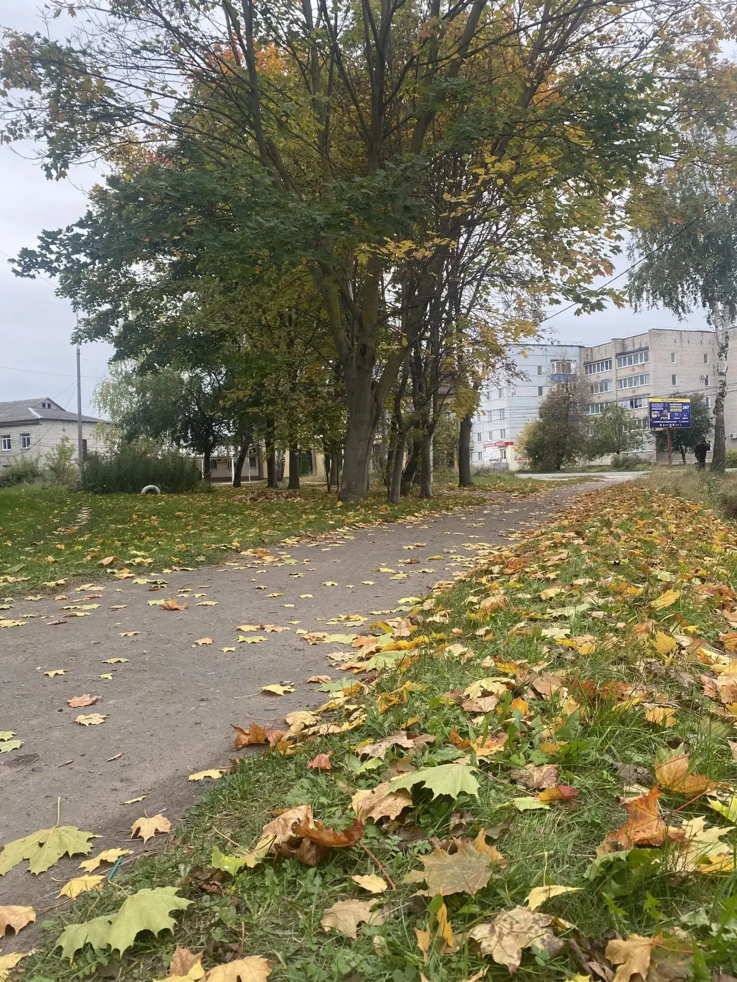 Осень 🍁🍁🍁
