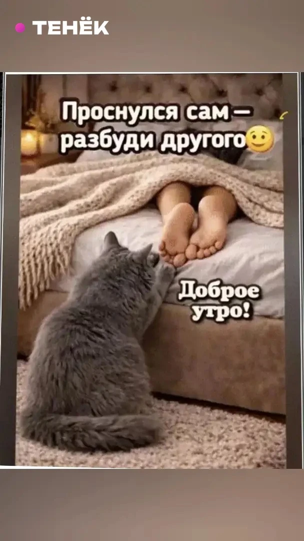 Александр, 77 · Чайковский