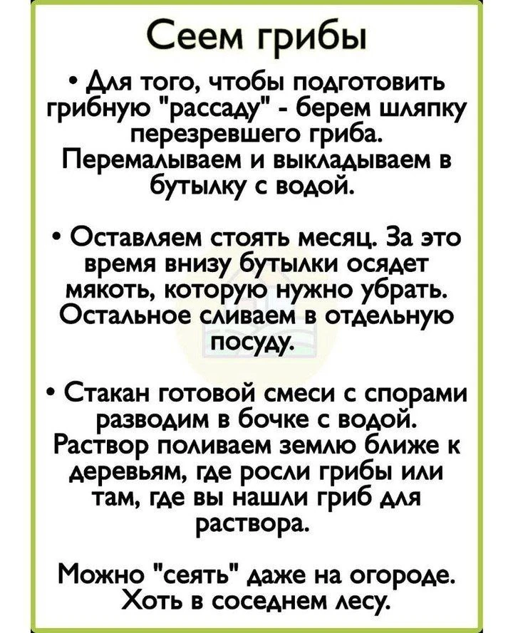 Способ подготовки грибной рассады 🍄