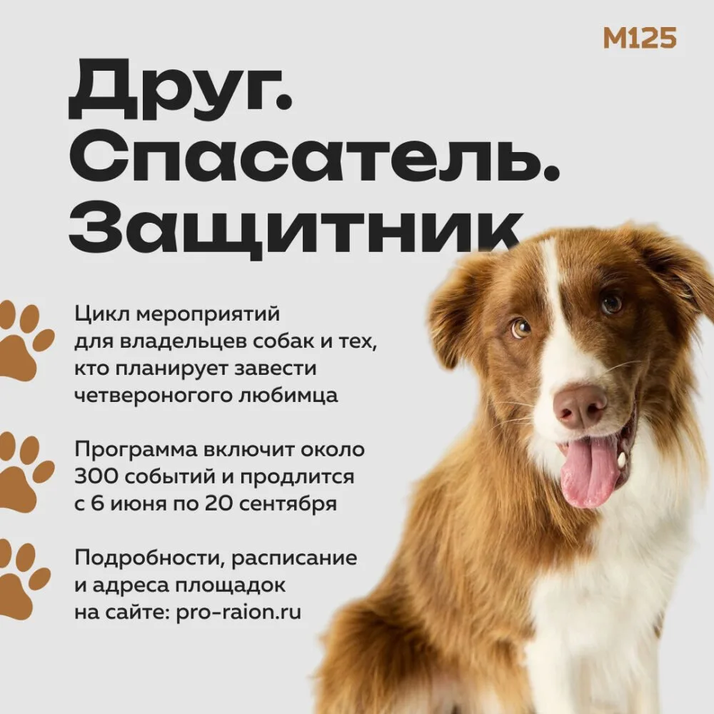 С июня по сентябрь в Москве пройдет цикл мероприятий «Друг, спасатель, защитник» для вл...