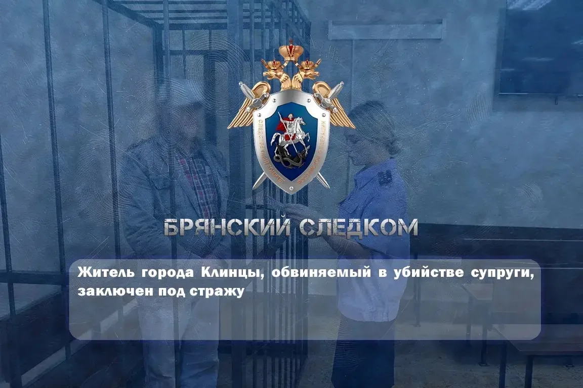 Житель города Клинцы, обвиняемый в убийстве супруги, заключен под стражу