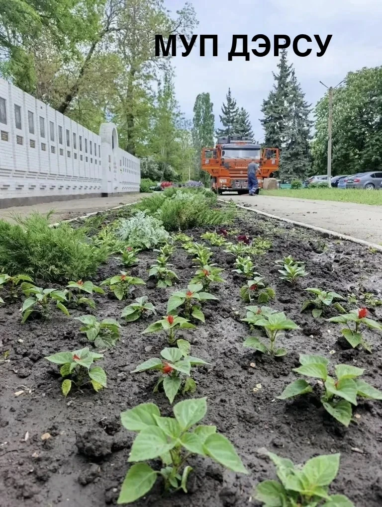 🌷 Красота начинается с нас!  С большой радостью сообщаем: на улицах Красного Луча появляются первые 