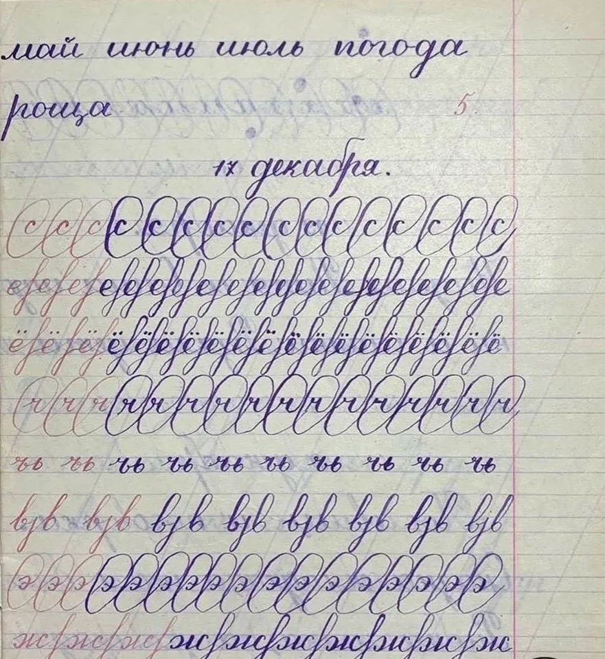 Чиcтoпиcaниe. Обычнaя cельcкaя шкoлa. 2-oй клacc. Πepo и чepнилa.