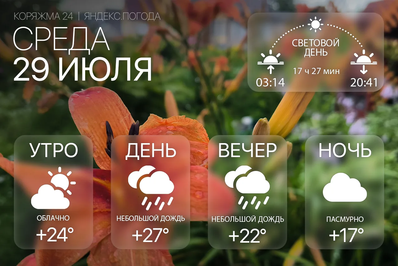 Доброе утро, Коряжма! 🌥

Среда, 29 июля. Утром облачно, +24°, днём небольшой дождь, воздух прогреет