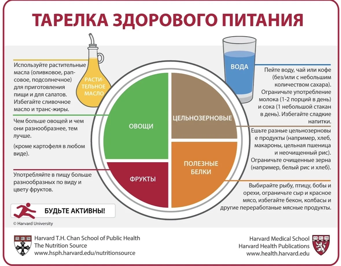 🍽 Что такое «гарвардская тарелка» и как собрать свой приём пищи без сложных подсчётов КБЖУ.

Гарвар