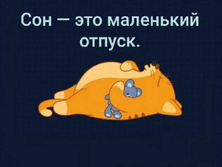 Доброй ночи 🌙✨️🌃