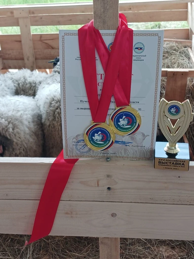 🏆 Бронза на всероссийском уровне! Племзавод «Ленинский путь» из Пучежского района- в т...