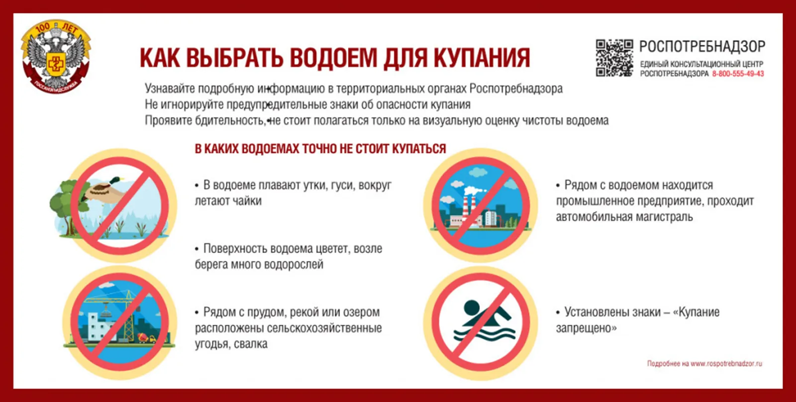 Плавать в одной реке с утками или нет? Как выглядят водоемы, в которых точно нельзя куп...