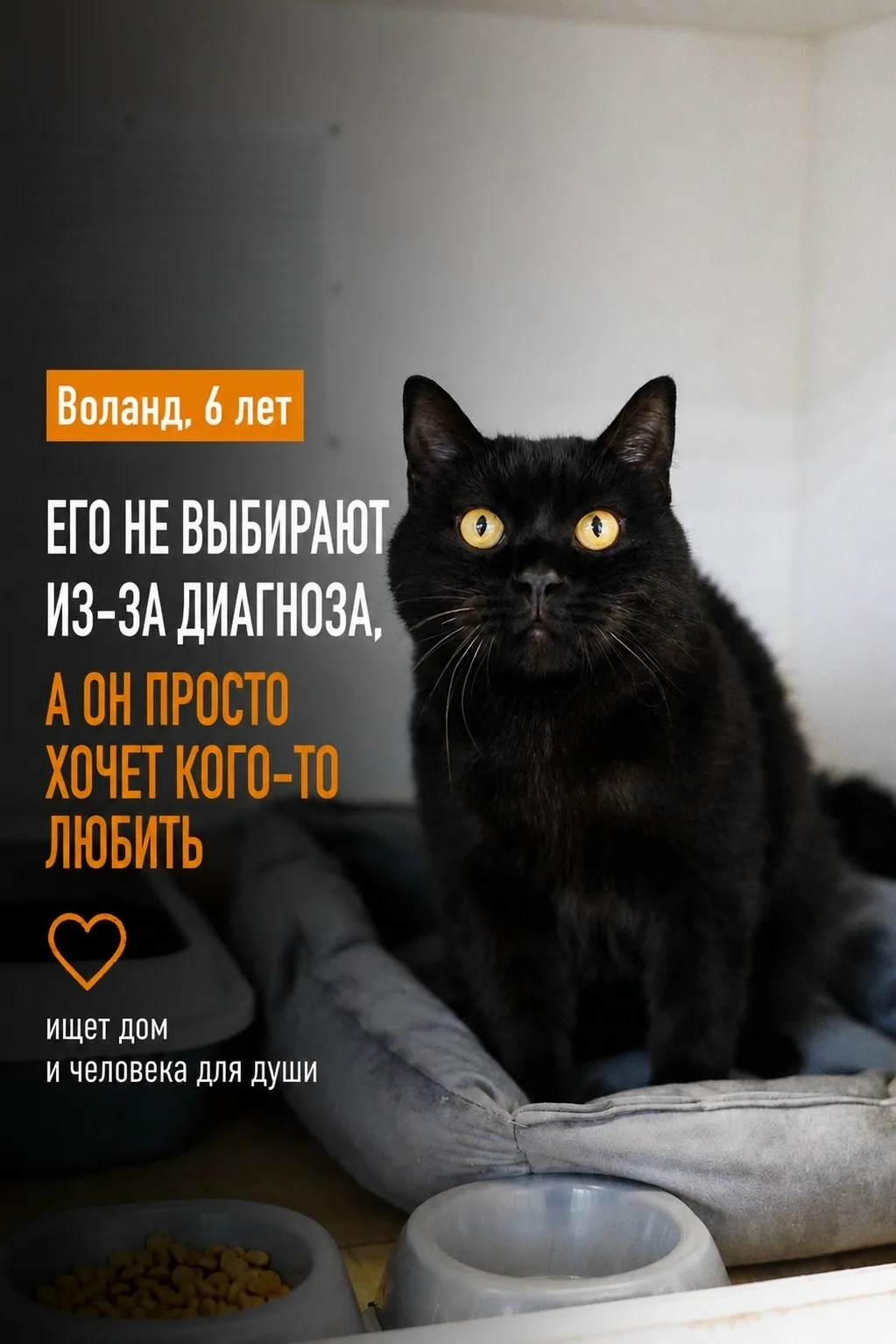 Воланда не выбирают из-за диагноза.