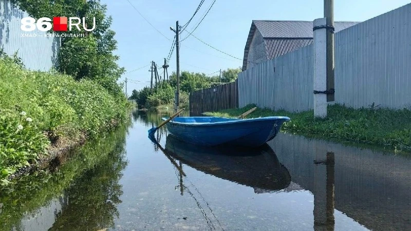 Мертвая рыба и невыносимая вонь: как Тюмень уходит под воду из-за паводка — страшные кадры