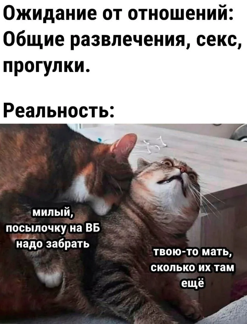 Существует золотая середина