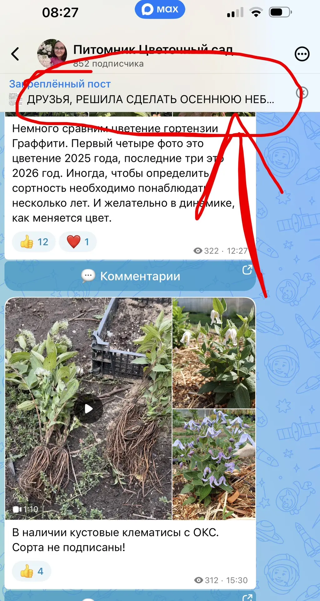 Немного луковичных. Хохлатки будут чуть позже. Где найти каталог, смотрите сообщение в ...