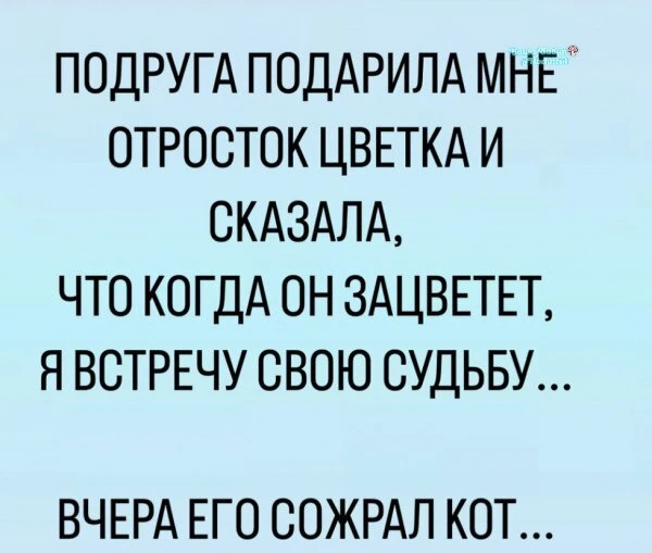 Значит не судьба 🤷‍♀️