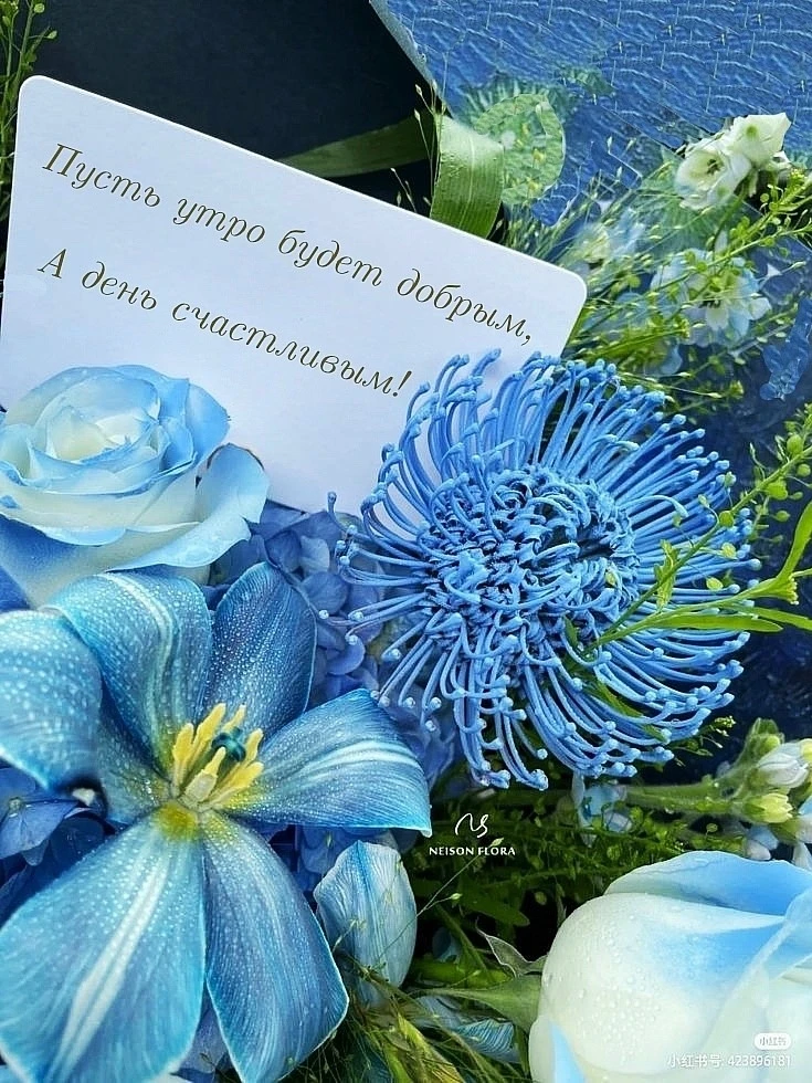 МАГИЯ ПРЕКРАСНОГО ДНЯ!