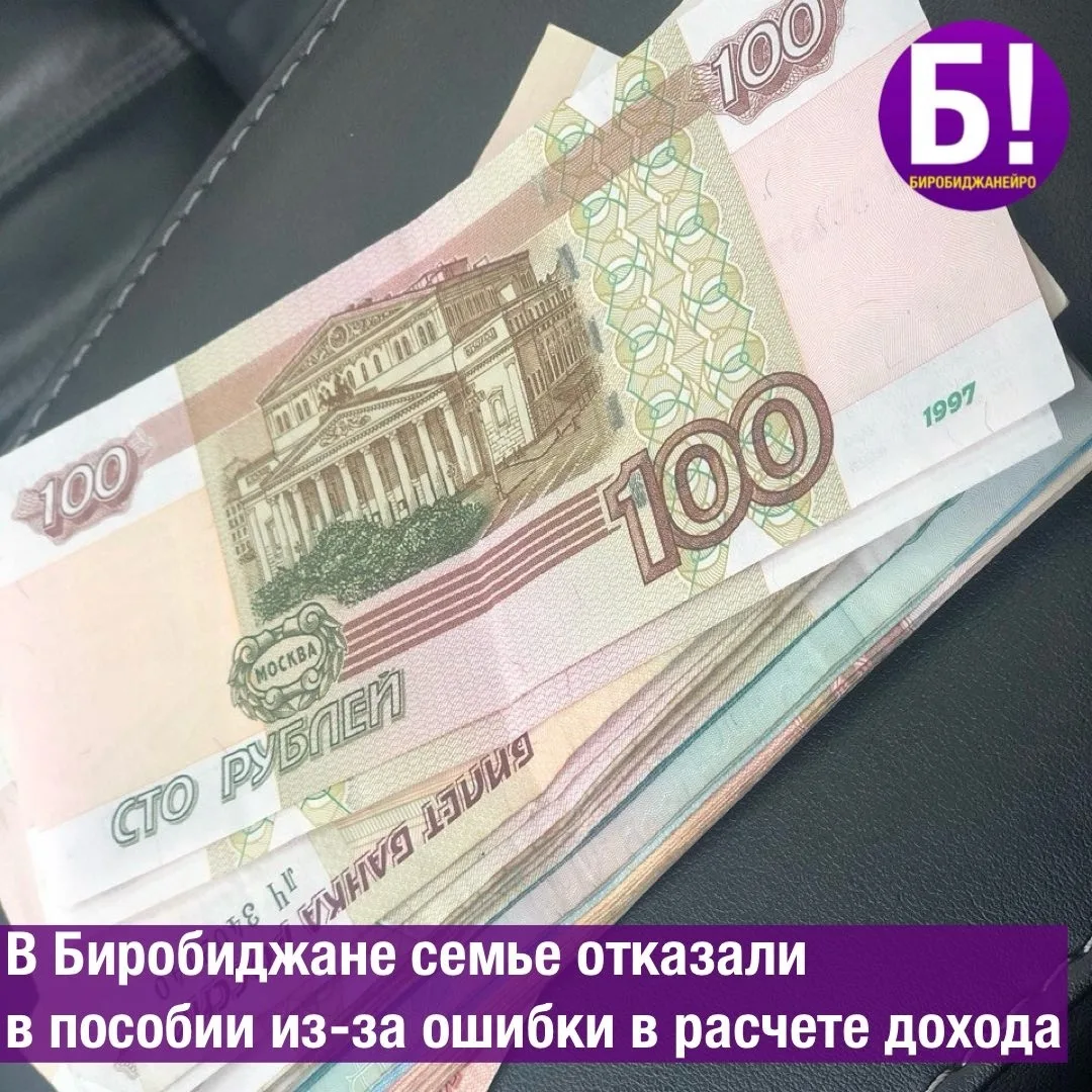 В Биробиджане семье отказали в пособии из-за ошибки в расчёте дохода