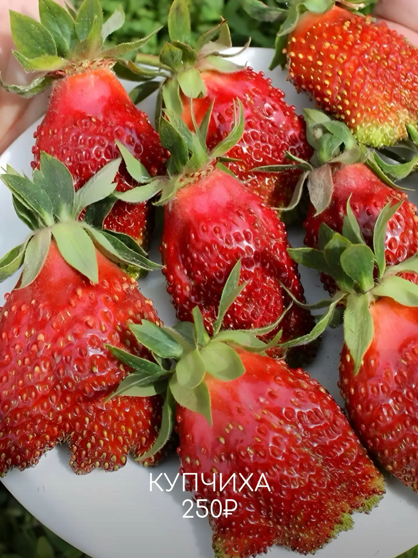 🍎🍏Пока деревья только просыпаются, для садовода начинается самое важное время. Земля ещё держит зимн