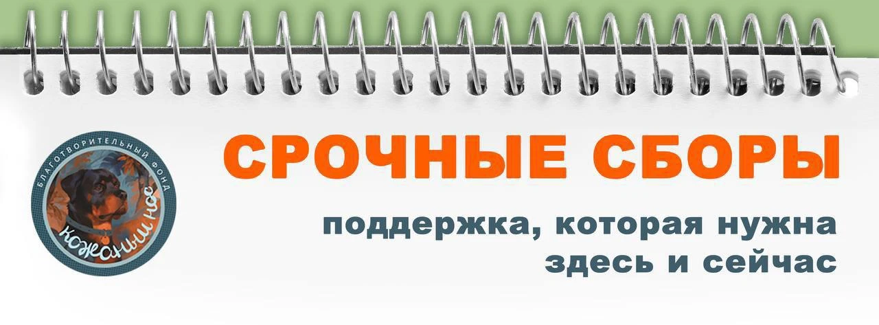 Друзья, отчёты уже в сети — переходите по ссылке и знакомьтесь с расходами и поступлени...