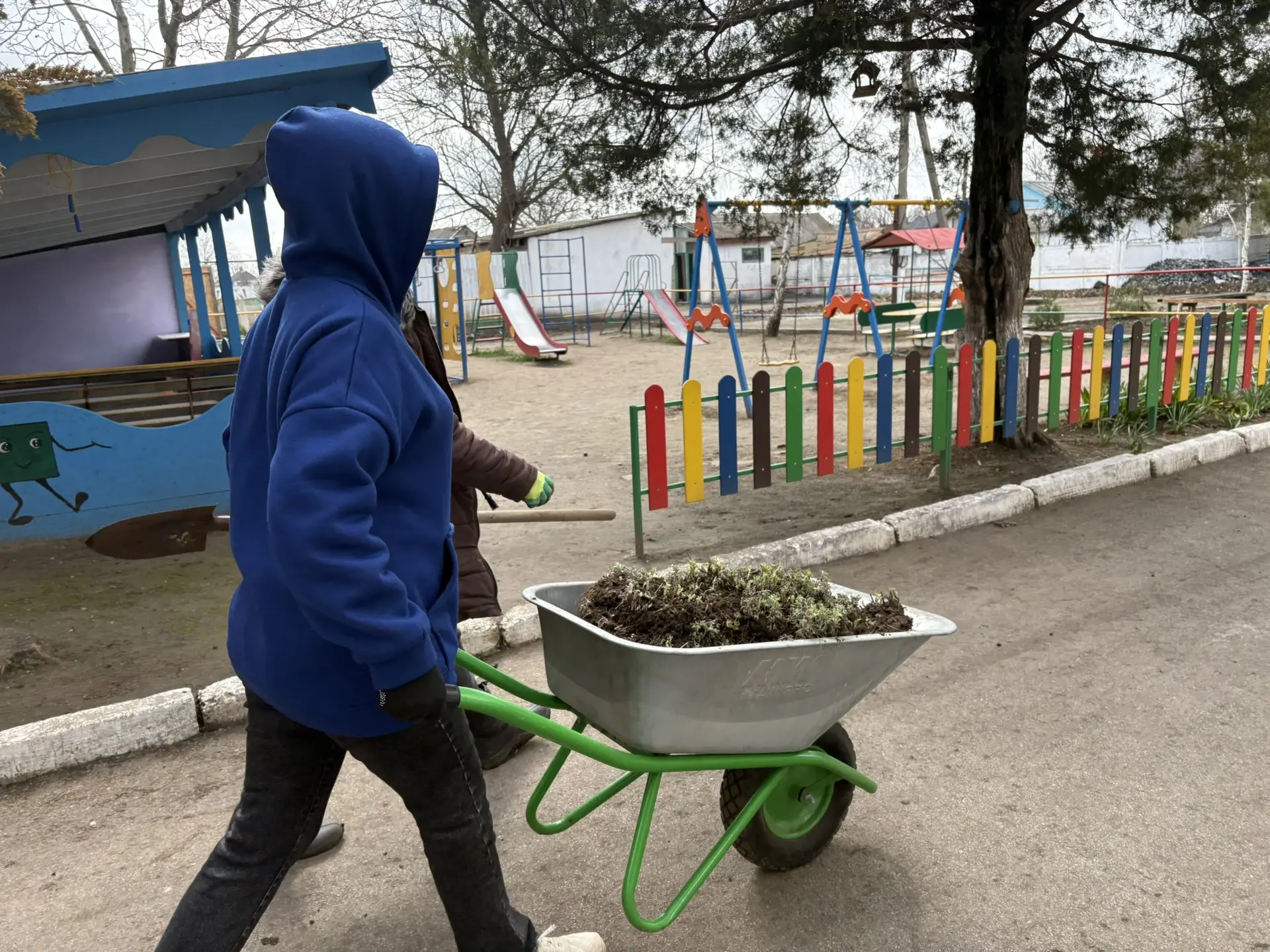 Пора озеленять территорию 🌿