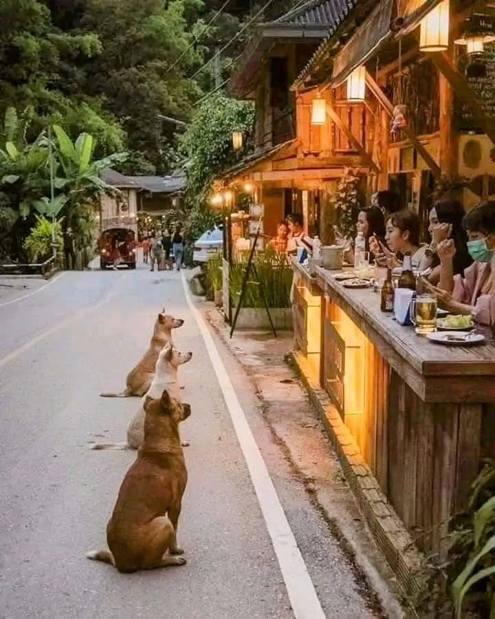 🇹🇭🇹🇭🇹🇭