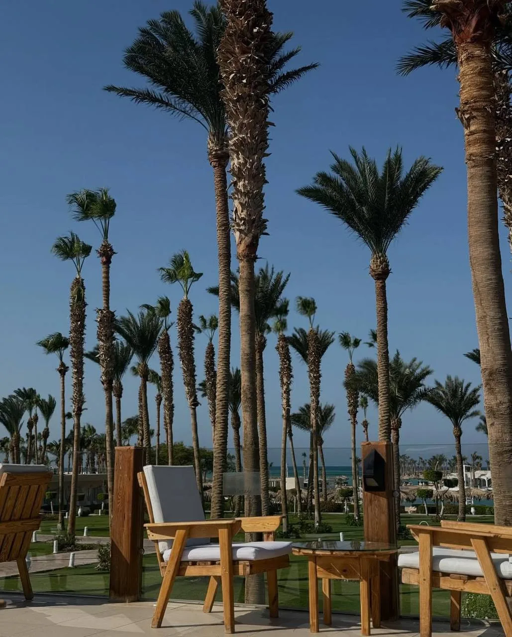 Встречаем Новый год в самом тусовочном отеле Египта 

📍Meraki Resort 4*
Отель 16+ в Египте (Хургада