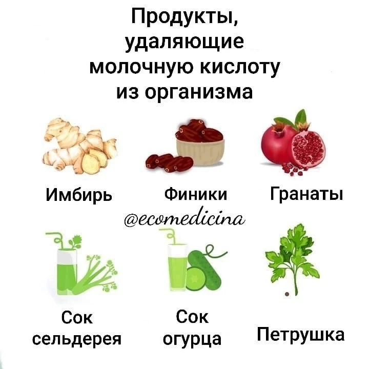 ☀МОЛОЧНАЯ И МОЧЕВАЯ КИСЛОТЫ