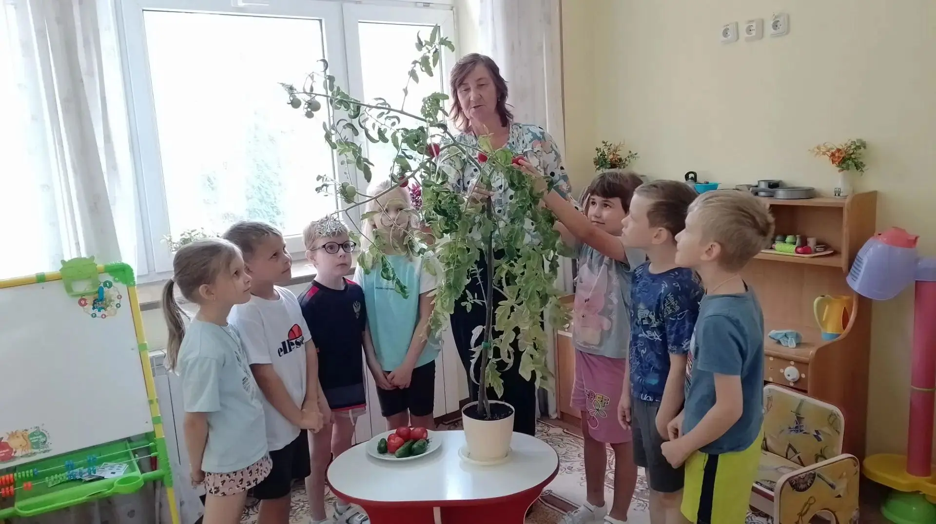 🌱🍅🥒Огород на подоконнике: от семечки до урожая в группе «Колобок»