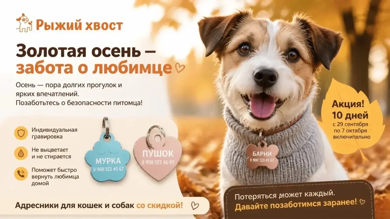 Осень — золотая пора. Листья, свежий воздух, долгие прогулки с любимцем.