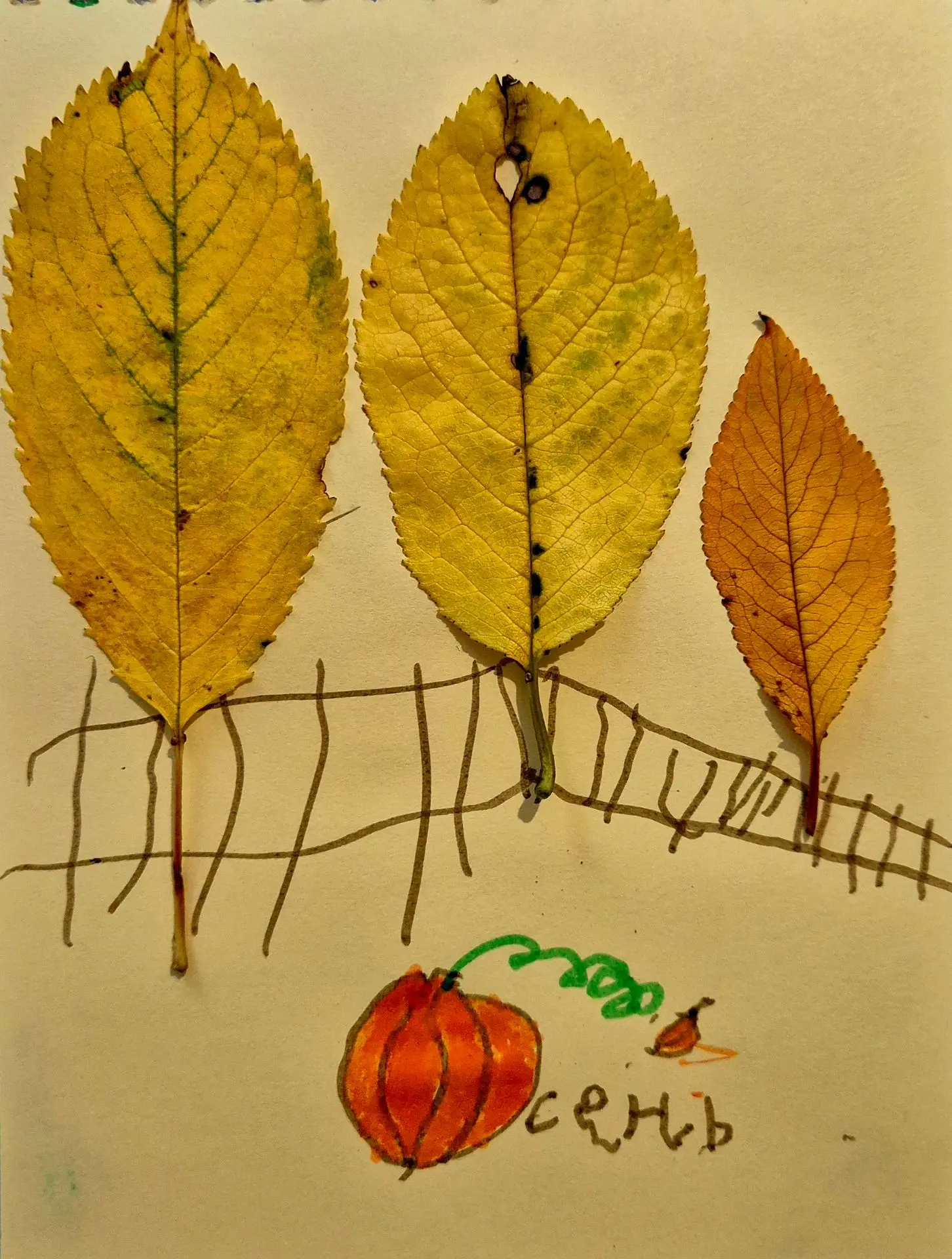 🔹️ С 1 днем осени 🍂