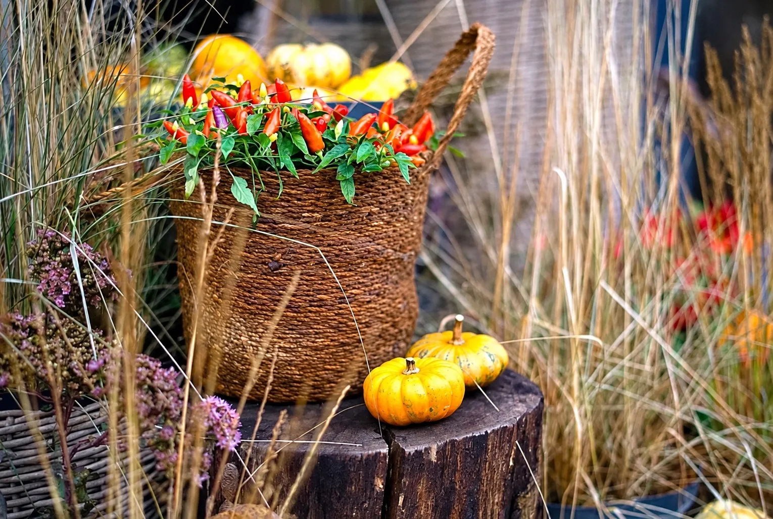 🍂 Доброе утро!