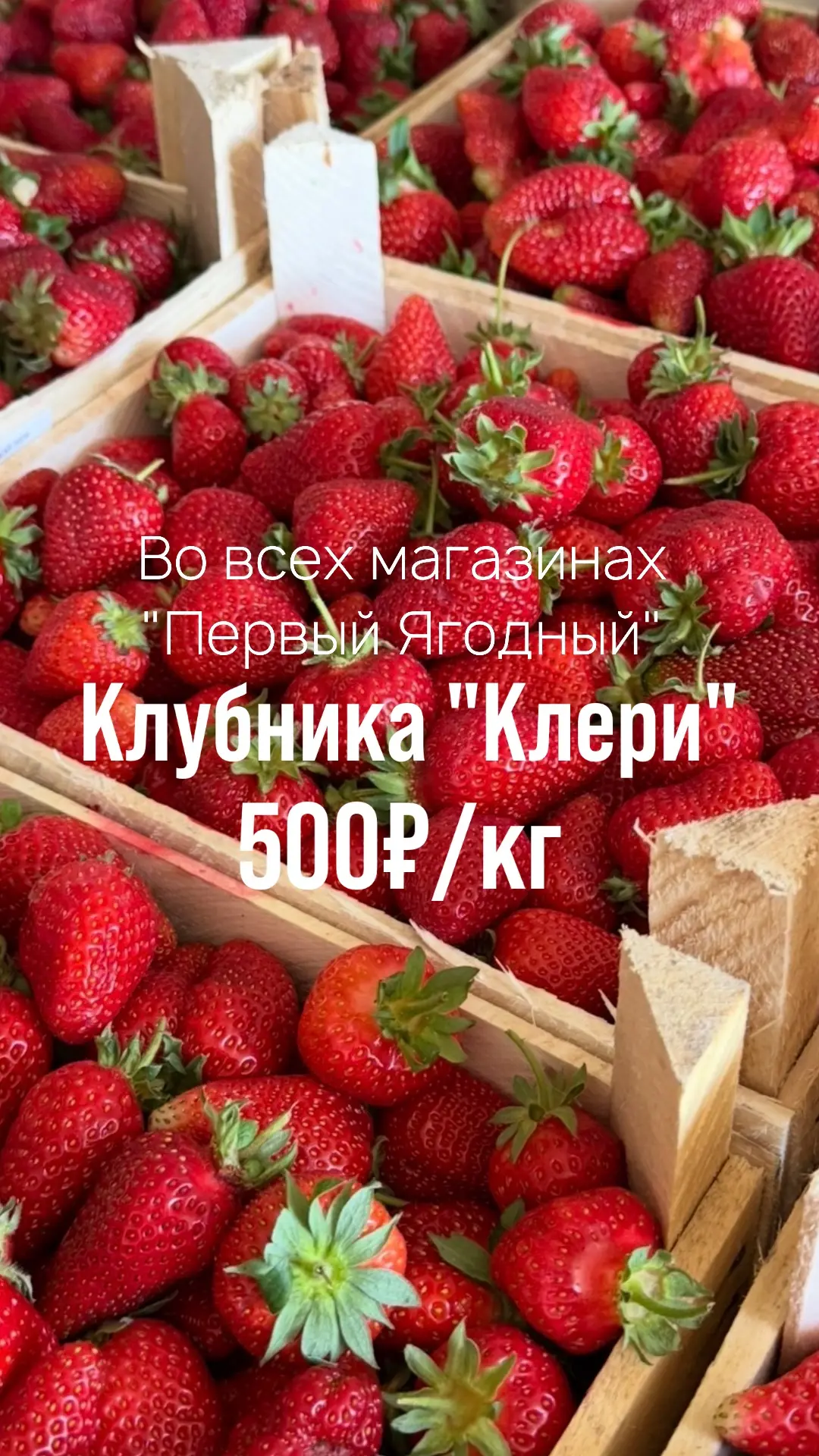 🍓 Клубника Клери уже во всех  магазинах «Первый Ягодный»!  Свежая, ароматная и сладкая клубника сорт