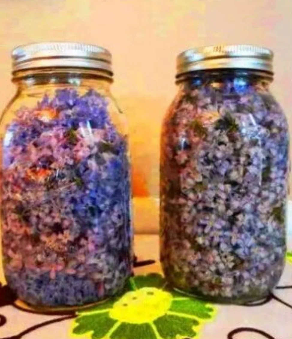 💜 НАСТОЙКА СИРЕНИ ДЛЯ СУСТАВОВ