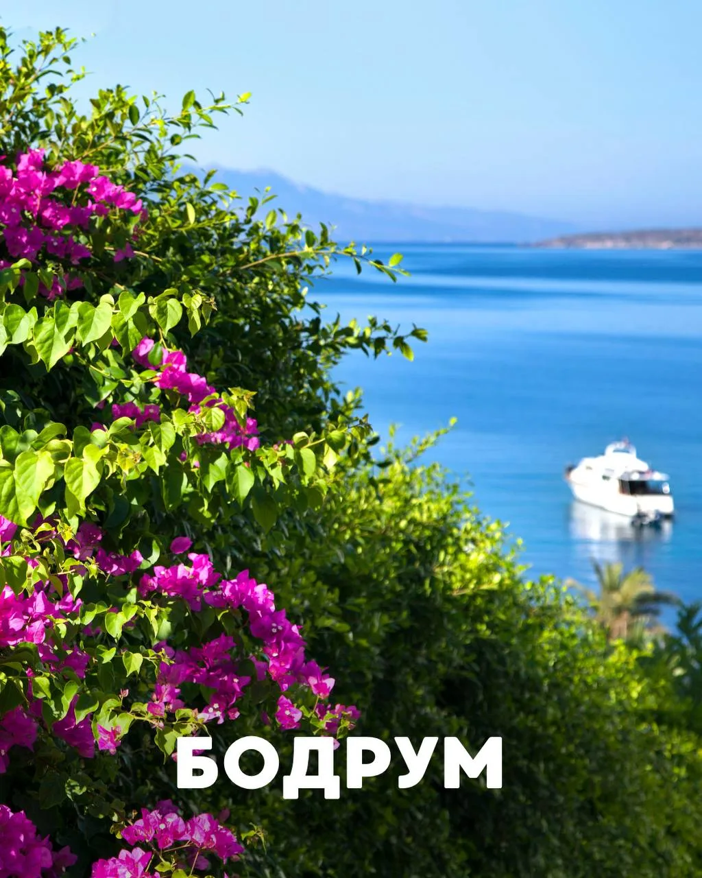 ☀️ Что посмотреть в Бодруме?

Бодрум часто выбирают ради красивых отелей и бухт. Но если захочется в