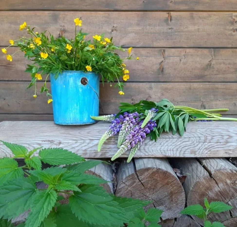 Сказ о том, как жестяная банка из под краски стала садовым декором 🌿✨