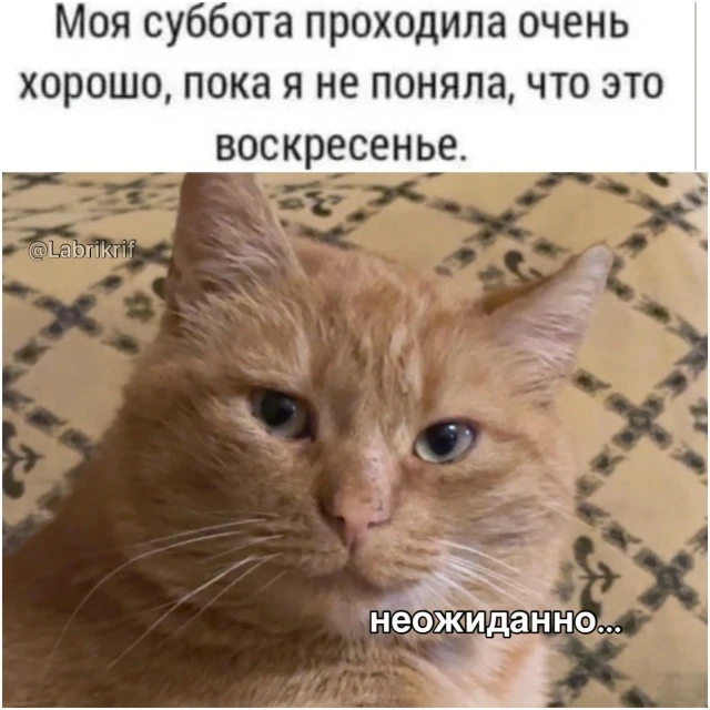 Неожиданно😅