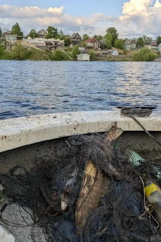 На озере Выгозеро нашли рыболовные сети с разлагающейся рыбой

Во время совместного рейда 7 июня сот