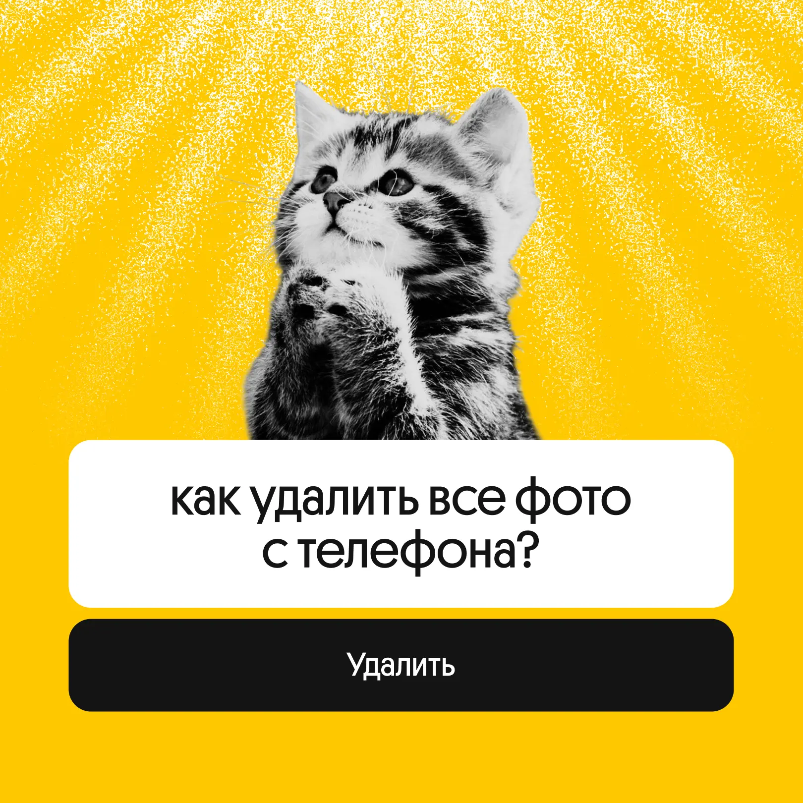 Сейчас будет жиза: сначала покупаешь телефон, долго выбирая лучшую камеру, потом грусти...