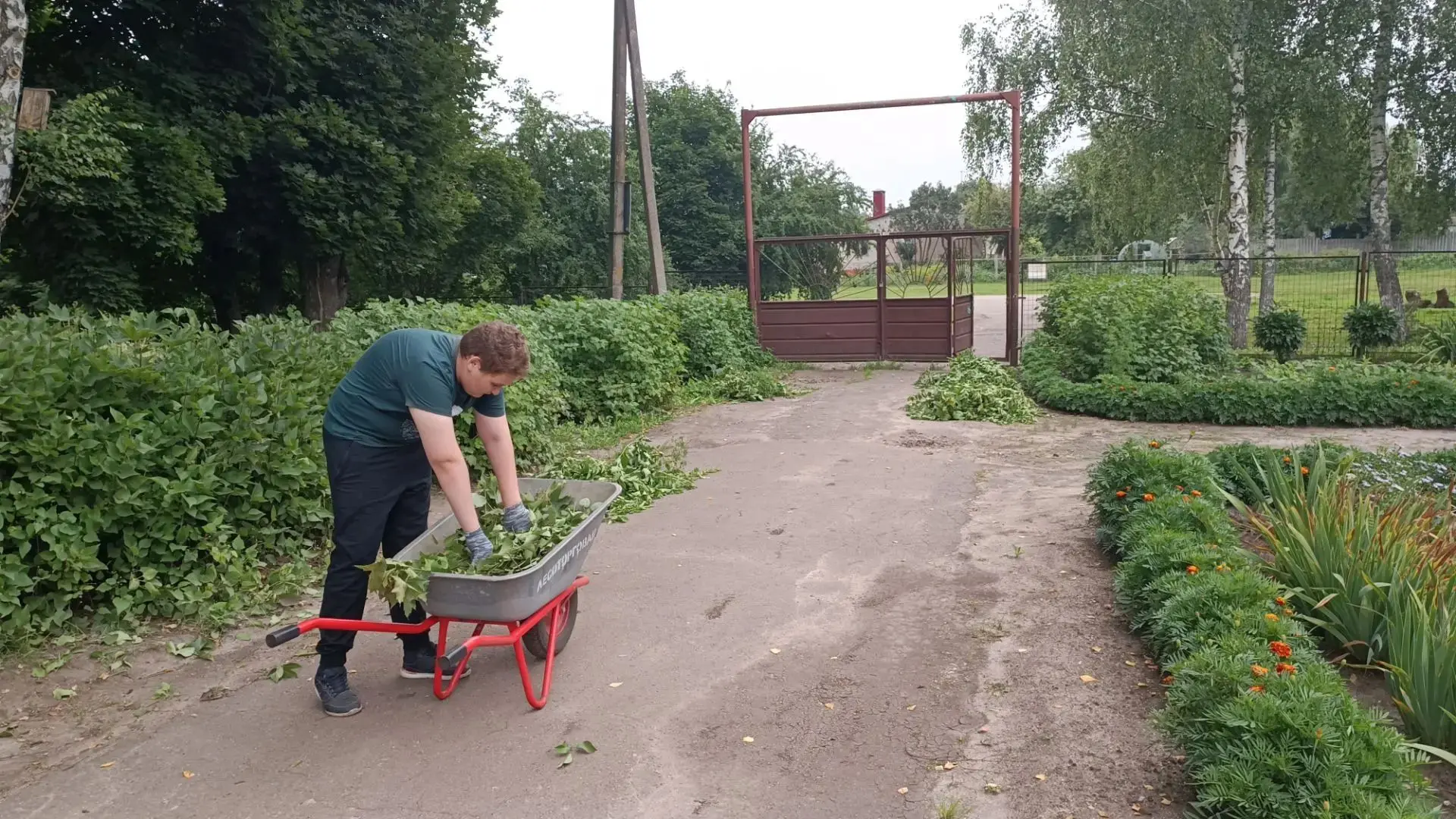 В школе продолжается летняя трудовая практика обучающихся.
В соответствии с учебным планом и програм