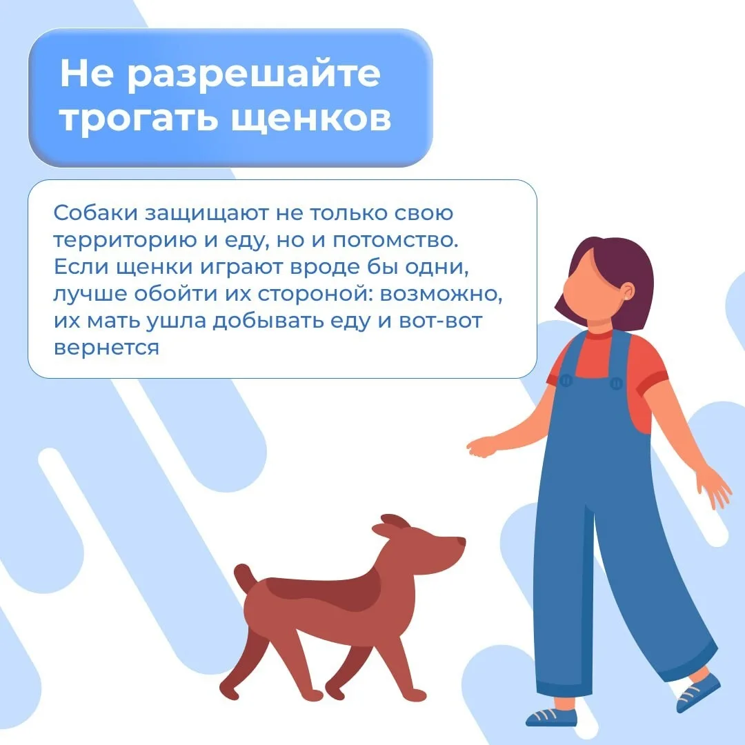 ⚠️ВСТРЕЧА С БРОДЯЧЕЙ СОБАКОЙ⚠️  ⏩️Собака - друг человека.  Но важно научить детей правилам, чтобы вс