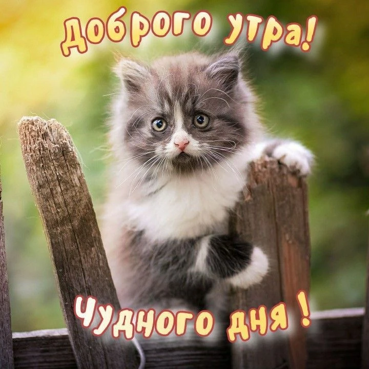 Красивые открытки❤️