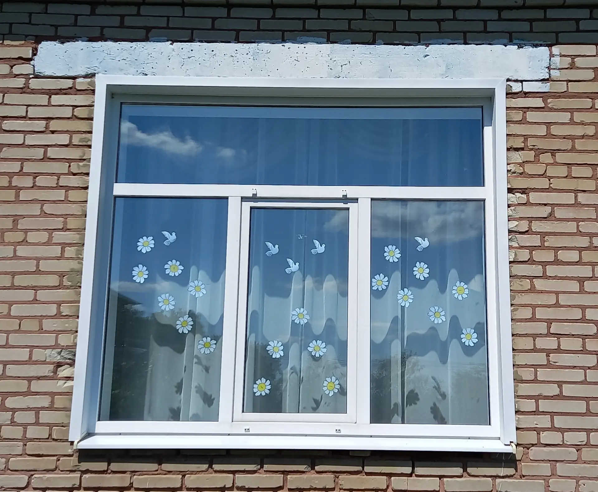 «Ромашковые окна»