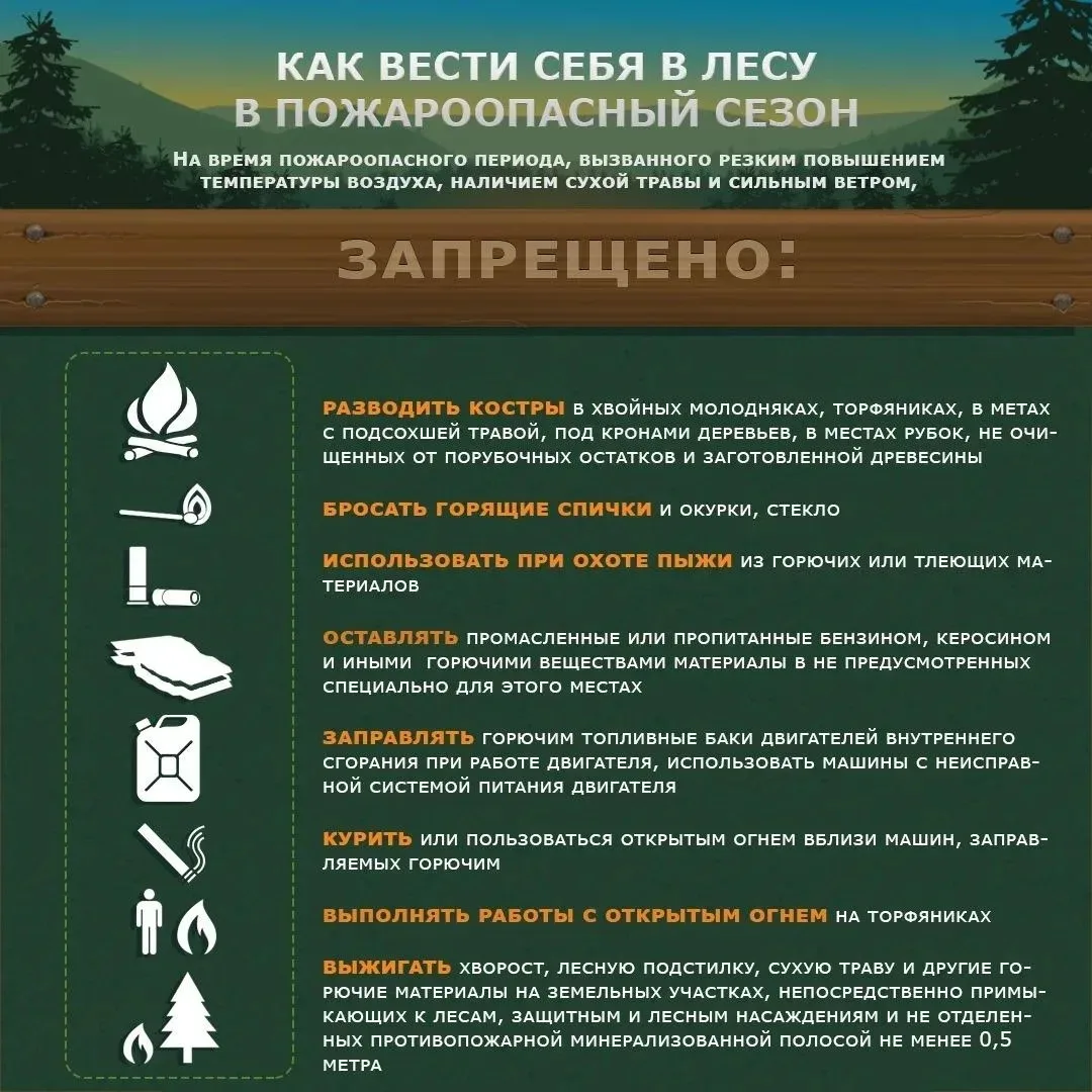 🔥 В пожароопасный сезон правила поведения в лесу становятся строже. Отдых на природе н...