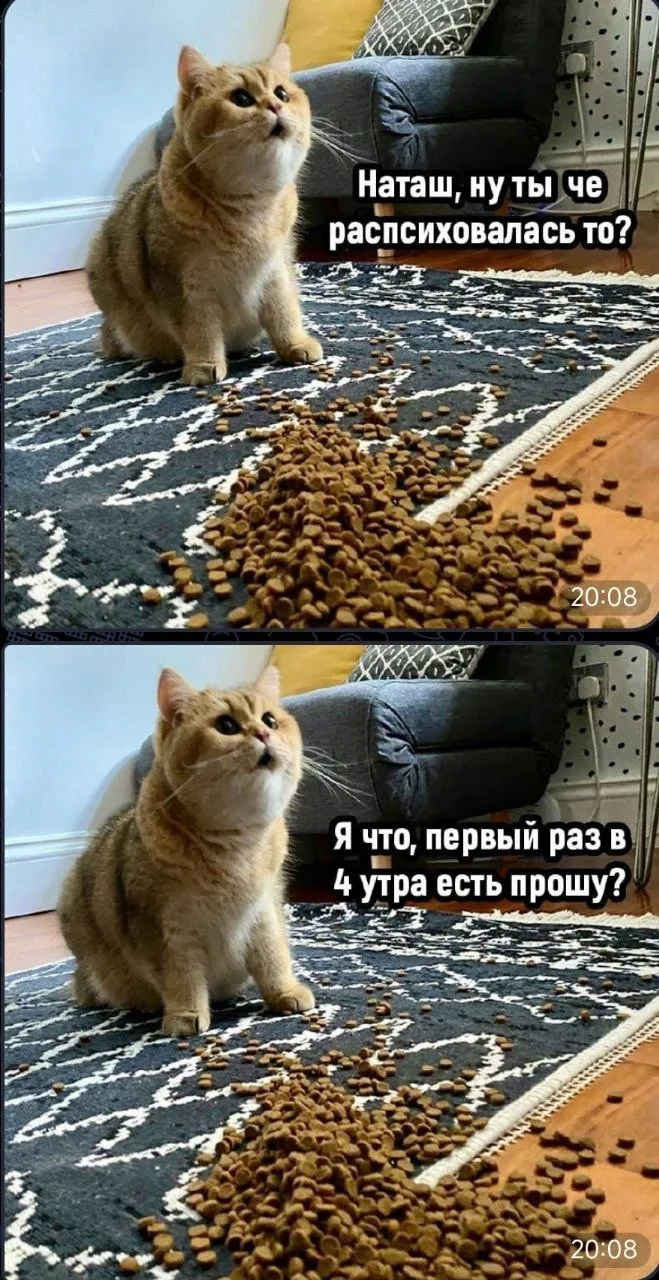 Нажми и подпишись 🔥👇👇