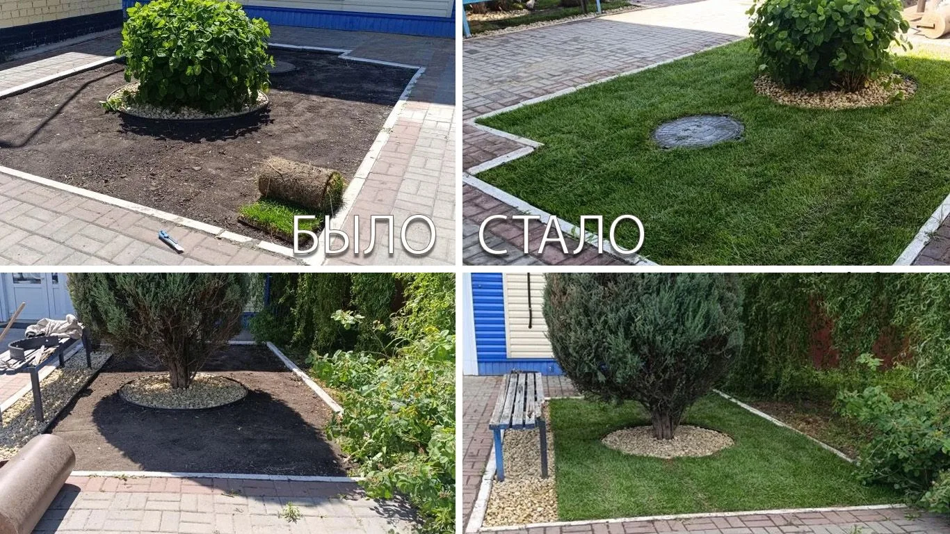 🌿Газон "Стройэкологии": этим летом на улицах вашего города☀️

Актуальные цены сезона — в закрепленн