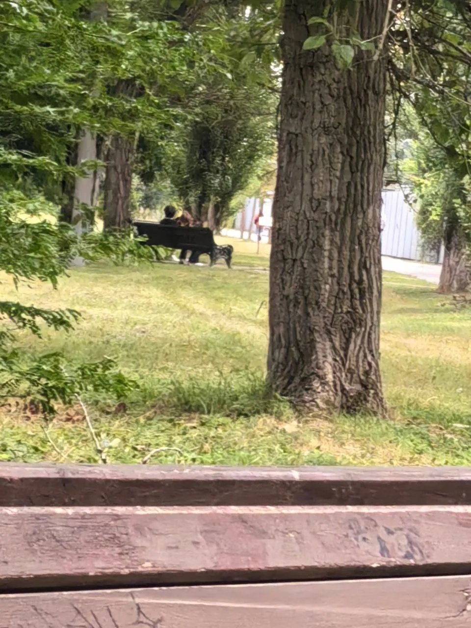 Ищем двух парней в ботаническом саде ,примерно в 18.20 ,анон найдитесь (админам всего с...